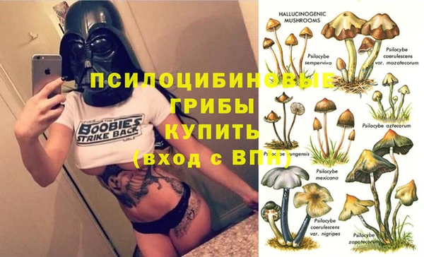 кокс Вяземский